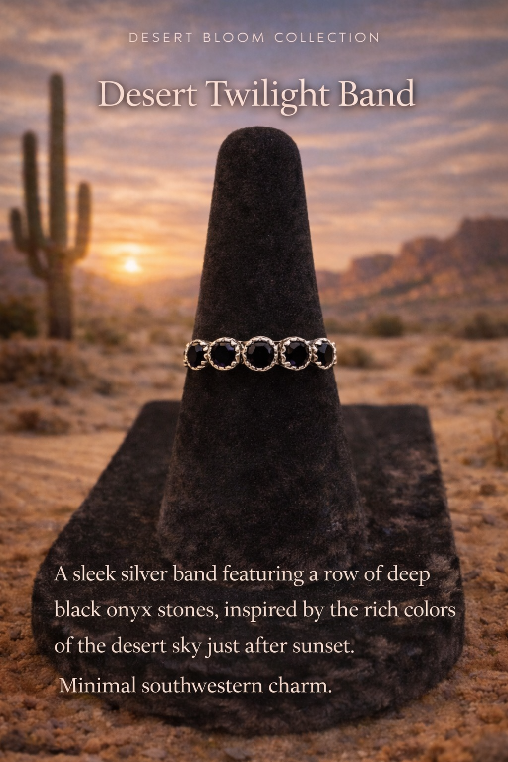 Desert Twilight Band
